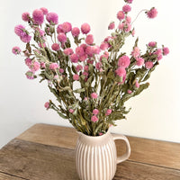 Naturally Dried  Strawberry Fields / Gomphrena Globasa