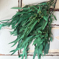 Preserved Eucalyptus / Gum