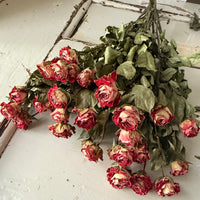 Dried Spray Mini Rose