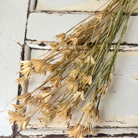 Naturally Dried / Coloured Nigella Flower