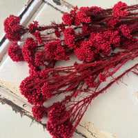 保鲜米花