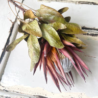 Naturally Dried Banksia & King Protea & Protea - Australian Native