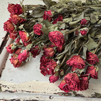 Naturally Dried Spray Rose