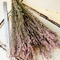天然干燥茶树/茶树 - 绿白色
