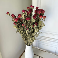Naturally Dried Spray Rose
