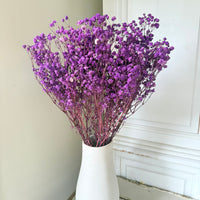 Preserved Baby's Breath