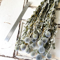 Naturally Dried Globe Thistle - blue