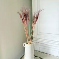 Dried Wheat