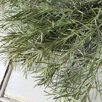 Naturally Dried Emu Grass - natural dusty green