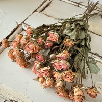 Dried Spray Mini Rose