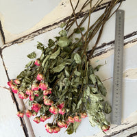 Naturally Dried Spray Rose