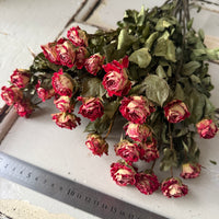 Dried Spray Mini Rose