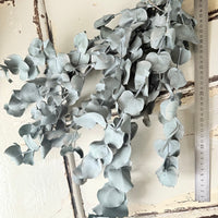 Preserved Eucalyptus – Dry-Touch 3D Finish