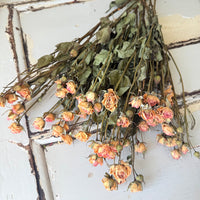 Naturally Dried Spray Rose