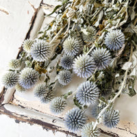 Naturally Dried Globe Thistle - blue