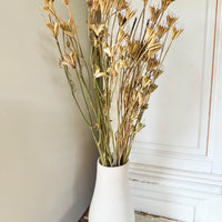 Naturally Dried / Coloured Nigella Flower