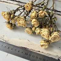 自然干燥玫瑰
