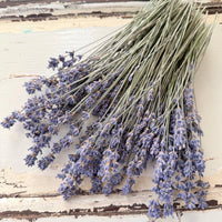 Dried Lavender bunch - blue purple