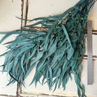Preserved Eucalyptus / Gum