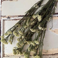 保鲜米花