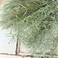 Naturally Dried Emu Grass - natural dusty green