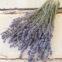Dried Lavender bunch - blue purple