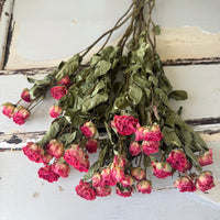Naturally Dried Spray Rose