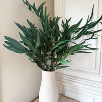 Preserved Eucalyptus / Gum