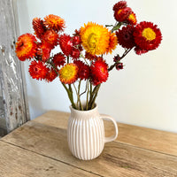 Naturally Dried Strawflower Daisy flower bunch - Helichrysum / Everlasting / Paper Daisy - stems / heads
