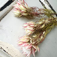 Naturally Dried Blushing Bride - natural pink