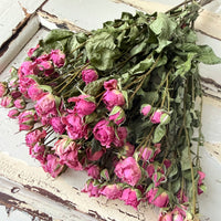 Dried Spray Mini Rose