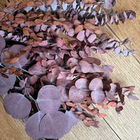 Loose Mix Greenery Stem Set - Ruby