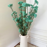 保鲜米花