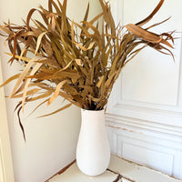 保存的桉树/树胶