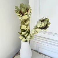 Naturally Dried Banksia & King Protea & Protea - Australian Native