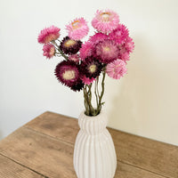 Naturally Dried Strawflower Daisy flower bunch - Helichrysum / Everlasting / Paper Daisy - stems / heads