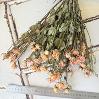 Naturally Dried Spray Rose