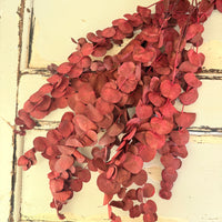 Preserved Eucalyptus / Gum