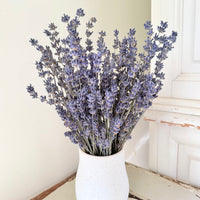 Dried Lavender bunch - blue purple
