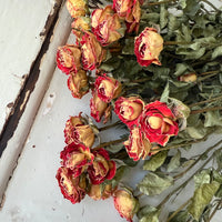 Naturally Dried Spray Rose