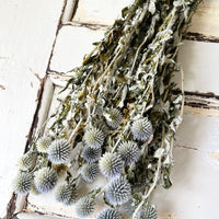 Naturally Dried Globe Thistle - blue