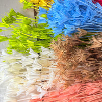 Naturally Dried / Coloured Nigella Flower