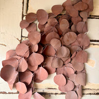 Preserved Eucalyptus / Gum