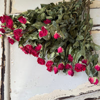 Naturally Dried Spray Rose