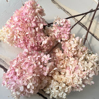 Antique Blush Hydrangea Bouquet (M)