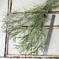 Naturally Dried Emu Grass - natural dusty green