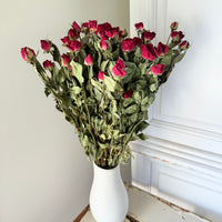 Naturally Dried Spray Rose