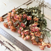 Dried Spray Mini Rose