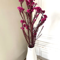 保鲜米花