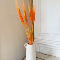 Dried Wheat